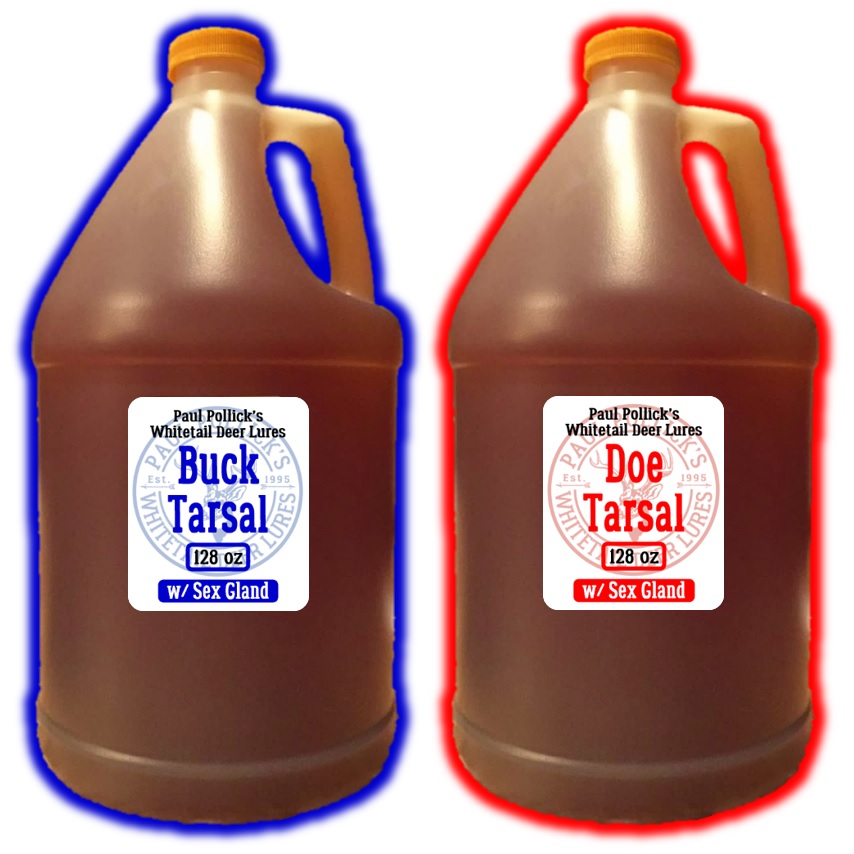 Synthetic Buck With Tarsal Urine Scent Lure 4 oz.